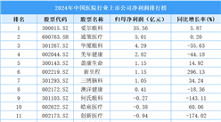 2024年中國(guó)醫(yī)院行業(yè)上市公司凈利潤(rùn)排行榜（附榜單）