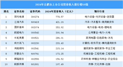 2024年合肥市上市公司營業(yè)收入排行榜（附榜單）