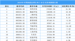 2024年中国固废治理行业上市公司净利润排行榜（附榜单）