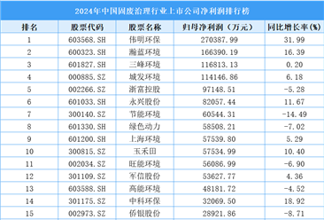 2024年中国固废治理行业上市公司净利润排行榜（附榜单）