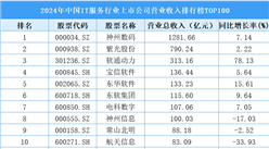 2024年中國IT服務行業(yè)上市公司營業(yè)收入排行榜TOP100（附榜單）