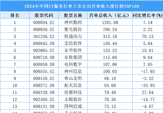 2024年中國(guó)IT服務(wù)行業(yè)上市公司營(yíng)業(yè)收入排行榜TOP100（附榜單）