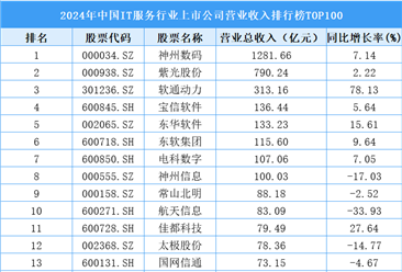 2024年中國IT服務(wù)行業(yè)上市公司營業(yè)收入排行榜TOP100（附榜單）