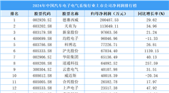 2024年中國汽車電子電氣系統(tǒng)行業(yè)上市公司凈利潤排行榜（附榜單）
