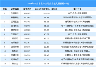 2024年东莞市上市公司营业收入排行榜（附榜单）