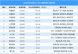 2024年哈尔滨市上市公司营业收入排行榜（附榜单）