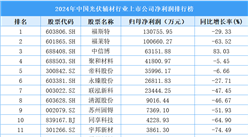 2024年中國光伏輔材行業(yè)上市公司凈利潤排行榜（附榜單）