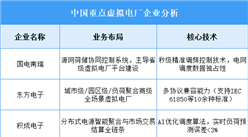 2025年中國虛擬電廠重點(diǎn)企業(yè)業(yè)務(wù)布局預(yù)測分析（圖）