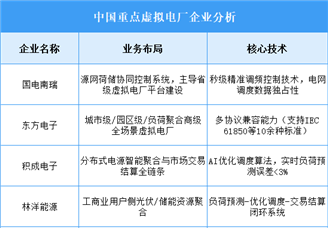 2025年中國虛擬電廠重點企業(yè)業(yè)務(wù)布局預(yù)測分析（圖）