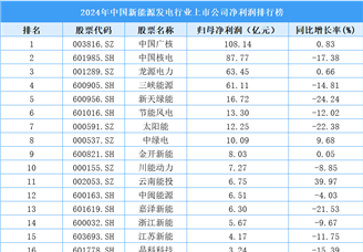 2024年中国新能源发电行业上市公司净利润排行榜（附榜单）