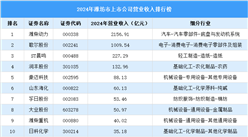 2024年濰坊市上市公司營業(yè)收入排行榜（附榜單）