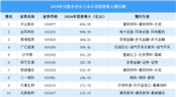 2024年乌鲁木齐市上市公司营业收入排行榜（附榜单）
