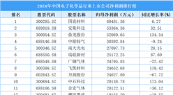 2024年中国电子化学品行业上市公司净利润排行榜（附榜单）