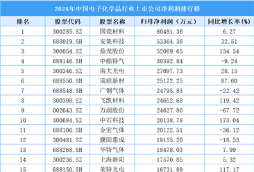 2024年中国电子化学品行业上市公司净利润排行榜（附榜单）