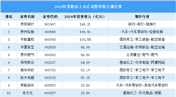 2024年贵阳市上市公司营业收入排行榜（附榜单）