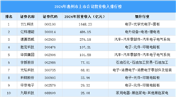 2024年惠州市上市公司營業(yè)收入排行榜（附榜單）
