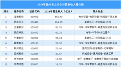 2024年扬州市上市公司营业收入排行榜（附榜单）