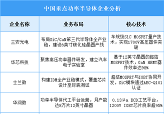 2025年中國(guó)功率半導(dǎo)體重點(diǎn)企業(yè)業(yè)務(wù)布局預(yù)測(cè)分析（圖）