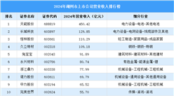 2024年湖州市上市公司营业收入排行榜（附榜单）