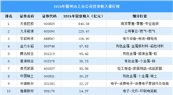 2024年赣州市上市公司营业收入排行榜（附榜单）