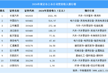 2024年保定市上市公司营业收入排行榜（附榜单）