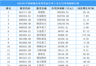 2024年中国能源及重型设备行业上市公司净利润排行榜（附榜单）