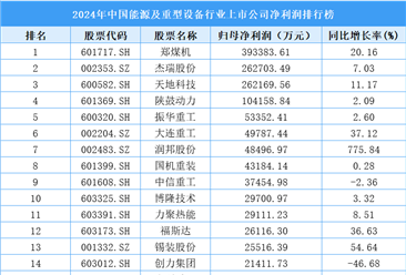 2024年中国能源及重型设备行业上市公司净利润排行榜（附榜单）