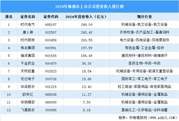 2024年株洲市上市公司营业收入排行榜（附榜单）