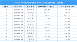 2024年中国横向通用软件行业上市公司营业收入排行榜（附榜单）