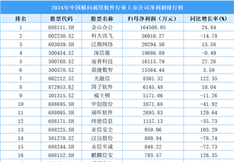 2024年中国横向通用软件行业上市公司净利润排行榜（附榜单）
