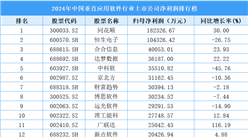 2024年中国垂直应用软件行业上市公司净利润排行榜（附榜单）