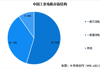 2025年中国工业电机行业市场前景预测研究报告（简版）