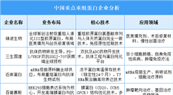 2025年中國(guó)重組蛋白重點(diǎn)企業(yè)業(yè)務(wù)布局預(yù)測(cè)分析（圖）