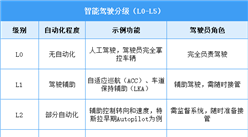 2025年中國(guó)智能駕駛行業(yè)市場(chǎng)前景預(yù)測(cè)研究報(bào)告（簡(jiǎn)版）
