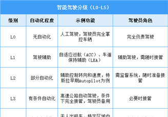 2025年中国智能驾驶行业市场前景预测研究报告（简版）