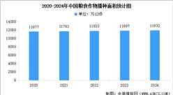 2024年全国粮食播种面积及粮食产量数据统计分析（图）