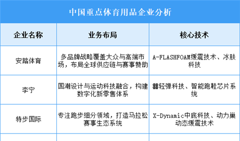 2025年中国体育用品重点企业业务布局预测分析（图）