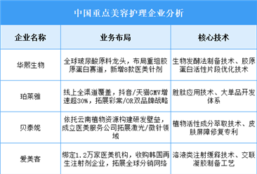 2025年中國美容護理重點企業(yè)業(yè)務(wù)布局預(yù)測分析（圖）