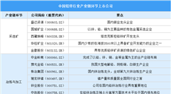 2025年中国铅锌行业上市公司全方位对比分析（企业分布、经营情况、业务布局等）