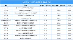 2025年5月24日全國(guó)各地最新白條豬價(jià)格行情走勢(shì)分析