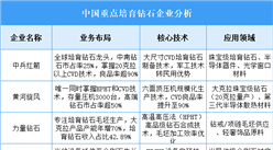 2025年中國培育鉆石重點企業(yè)業(yè)務(wù)布局預(yù)測分析（圖）