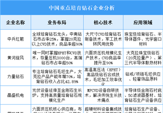 2025年中国培育钻石重点企业业务布局预测分析（图）