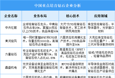 2025年中国培育钻石重点企业业务布局预测分析（图）
