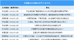 2025年中國(guó)航運(yùn)行業(yè)上市公司全方位對(duì)比分析（企業(yè)分布、經(jīng)營(yíng)情況、業(yè)務(wù)布局等）
