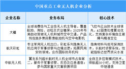 2025年中國(guó)工業(yè)無(wú)人機(jī)重點(diǎn)企業(yè)業(yè)務(wù)布局預(yù)測(cè)分析（圖）