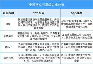 2025年中國石墨烯重點(diǎn)企業(yè)業(yè)務(wù)布局預(yù)測分析（圖）