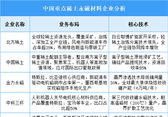 2025年中國(guó)稀土永磁材料重點(diǎn)企業(yè)業(yè)務(wù)布局預(yù)測(cè)分析（圖）