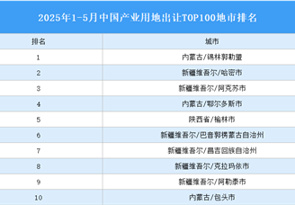 產(chǎn)業(yè)投資情報：2025年1-5月中國產(chǎn)業(yè)用地出讓TOP100地市排名（產(chǎn)業(yè)篇）