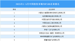 產(chǎn)業(yè)投資情報(bào)：2025年1-5月中國(guó)投資拿地TOP100企業(yè)排行榜（產(chǎn)業(yè)篇）