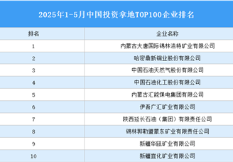 產(chǎn)業(yè)投資情報：2025年1-5月中國投資拿地TOP100企業(yè)排行榜（產(chǎn)業(yè)篇）